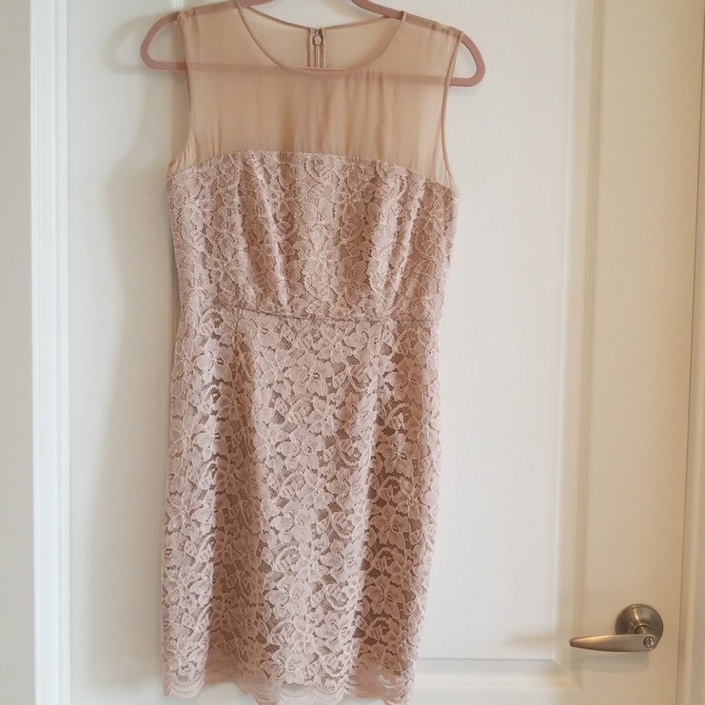 NWT Gorgeous DVF nude lace dress